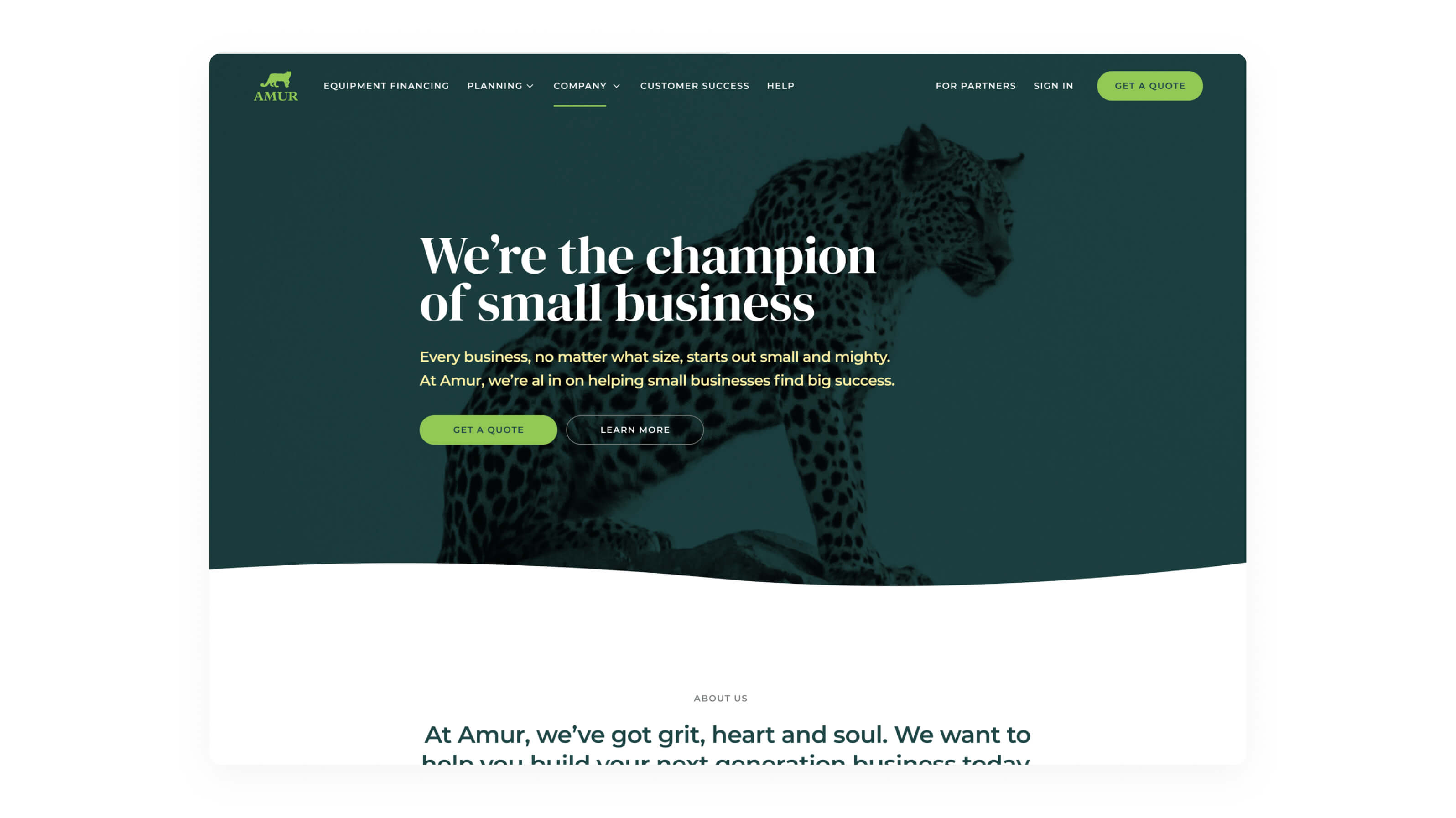 Screenshot of the Amur marketing website. Large green feature area with a picture of a Leopard and a message about Amur being the Champion of Small Business.